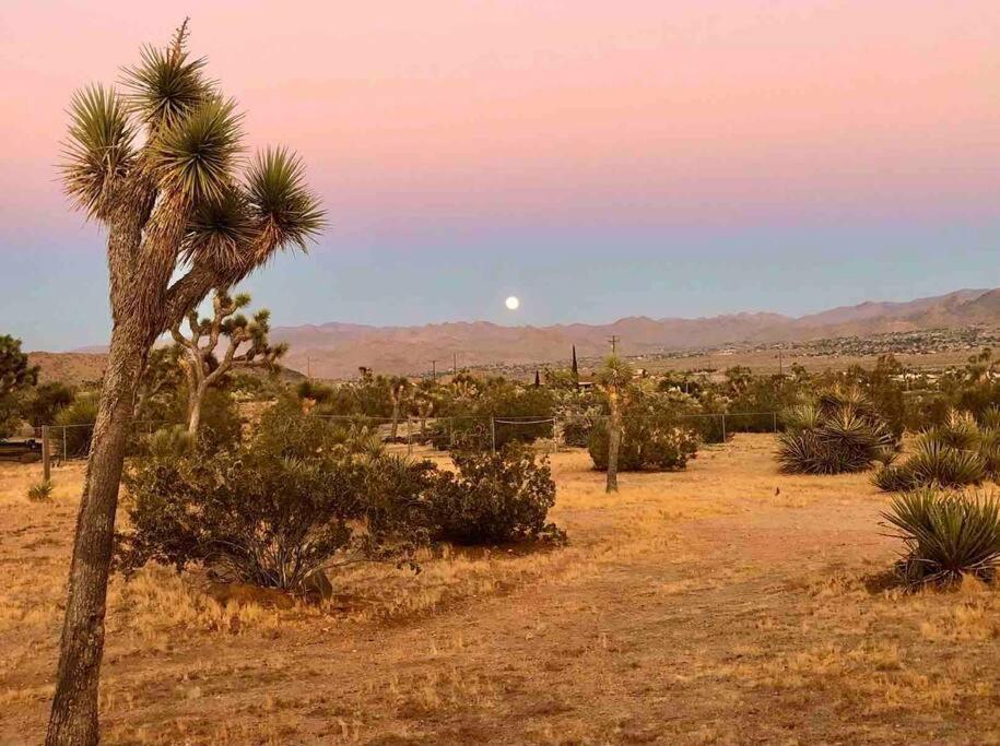 Desert Dreamer Yucca Valley Exteriér fotografie